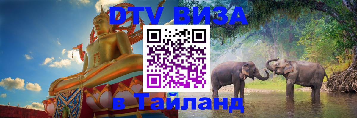 Оформление DTV визы под ключ: стоимость и тарифы, только загранпаспорт - 